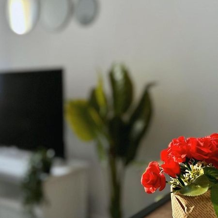 Cosy Palm Beach, Studio Pres De La Mer Et De La Croisette 戛纳 外观 照片